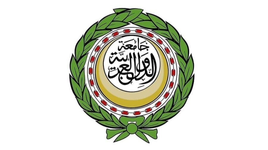 Ahmad Abul Gheit condemns Israeli aggressions against Syria