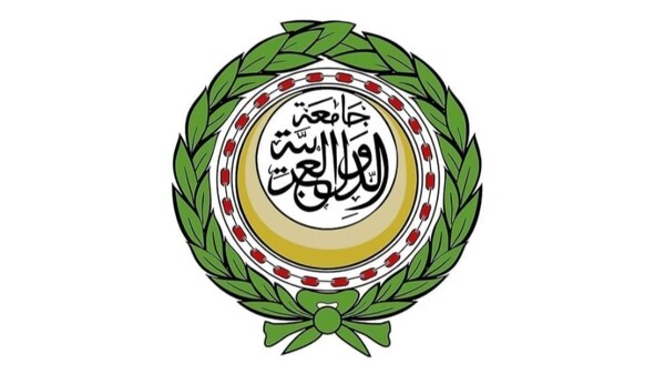 Ahmad Abul Gheit condemns Israeli aggressions against Syria